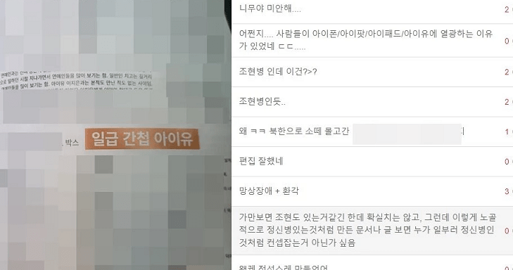 Penggemar-Anti-IU-IU-adalah-mata-mata-Korea-Utara-Sungguh-Terlalu